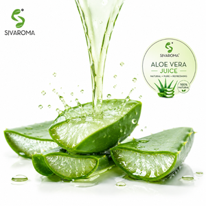 Jugo de Aloe Vera Natural para Procesamiento de Alimentos, Formulaciones Herbales, Fabricación de Cosméticos y Mercado Internacional B2B - Product Image 6