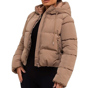 Chaqueta Acolchada con Capucha para Hombre, Abrigo de Invierno Estándar, Cálido, 400 GSM, Cierre Frontal con Cremallera, Bordado, Beige, Corte Ajustado, Estilo Urbano - Product Image 1