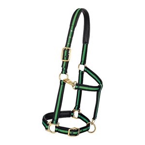Harnais pour cheval en nylon violet avec garniture noire et boucles métalliques pour l'équitation et l'entraînement - Product Image 3
