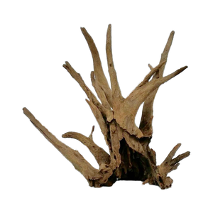 ซากไม้ขายส่ง - Product Image 2