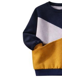 Sweat-shirt pour femme en molleton doux, colorblock bleu marine, moutarde et gris, col rond, décontracté, pull d'hiver avec détail brodé lion - Product Image 3