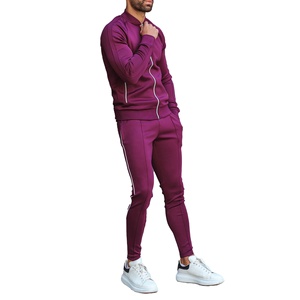Wholesale Men's Autumn Lightweight Reversible Breathable Plus Size Slim Fit <b>Joggers</b> Outdoors Training Tracksuit Sweatsuit Set - Product Image 1