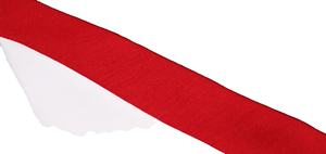 Breathable Mesh Workout <b>Men's</b> <b>Shorts</b> Lightweight Quick Dry <b>Elastic</b> <b>Waist</b> Custom Gym Sport Training Fleece <b>shorts</b> - Product Image 4