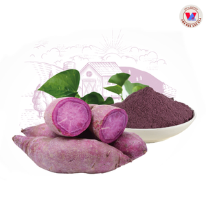 Almidón de Patata Morada Deshidratado de Alta Calidad, Harina de Patata de Color Violeta Intenso para Pasta Industrial, 5 kg - Product Image 4