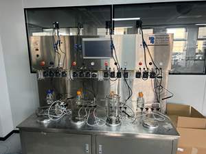 Micro-bioréacteur automatique Bailun 1L contrôlé par PLC avec agitateur, récipient en verre borosilicate, pompe et moteur à roulement BLBIO-GJ - Product Image 3