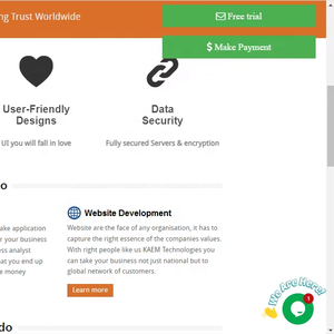High End Enterprise Custom Website <b>Development</b> Services with Unique Business Layout - Product Image 1