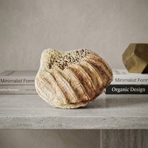Escultura de Conchas Marinas Hecha a Mano por Shellia, Decoración Rústica Costera para Mesa, Obra de Arte Decorativa para el Hogar, Tazón de Conchas - Product Image 3