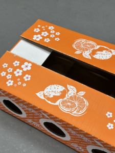 Caja de Cartón Corrugado Resistente, Ecológica y Hecha con Materiales Reciclados, para Fruta Fresca de Pomelo |   Exportación Agrícola - Product Image 3