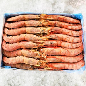 กุ้งแดงอาร์เจนตินาแช่แข็ง ผลิตภัณฑ์อาหารทะเลพรีเมียม รสชาติเยี่ยม เนื้อแน่น คุณภาพเชื่อถือได้สำหรับตลาดนานาชาติ - Product Image 4