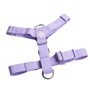 Arnés para Perro Comfort Control No Pull, Negro, Ajuste Clásico con Hebillas Ajustables y Clip Frontal para un Control Diario Fuerte - Product Image 2