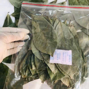 Organic Fermented Broken Black <b>Tea</b> Non Sugar 50gr <b>Box</b> Packaging EXPAD CO Grade a - Product Image 5