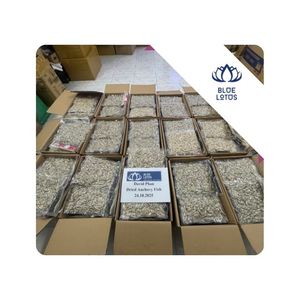 Anchoas secas de ALTA CALIDAD para sopa, caldo, cocina, ingrediente de marisco utilizado para cocinar en restaurantes, suministro para cocinas de restaurantes, Vietnam - Product Image 1