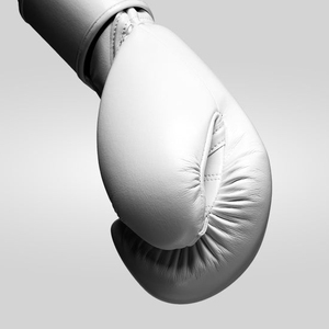 ถุงมือชกมวยหนังแท้คุณภาพสูง สายรัดป้องกันข้อมือ ถุงมือต่อสู้แบบ Fly Fighting ดีไซน์ใหม่ โลโก้สั่งทำได้ สีสันโดดเด่น - Product Image 4