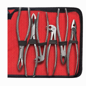 Ensemble de 12 pinces d'extraction dentaire, instruments d'extraction dentaire en acier inoxydable, kit de pinces de chirurgie dentaire professionnel - Product Image 6