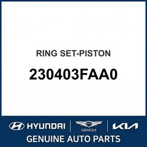 Nouveaux pistons et segments G90/EQ900 230403FAA0 - Product Image 1