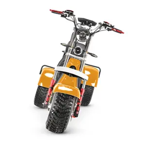 SoverSky USA EU Almacén 4000W triciclo eléctrico scooter de 3 ruedas con 2 asientos