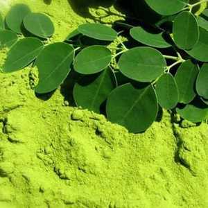 Polvo de Moringa de Grado Superior 100% SUMINISTRO DE Moringa Natural a granel de Vietnam con precio barato - Product Image 2
