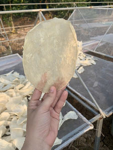 ปลาปังกัสิอุสแห้งเกรดพรีเมียม (รูปทรงหลอด/วงรี) - Product Image 3