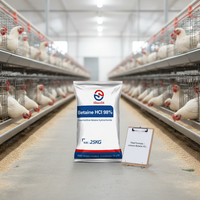 Bétaïne Anhydre 96% CAS 107-43-7 Donneur de Méthyl pour Poulets de Chair, Dindes, Canards, Additif Alimentaire en Poudre pour Volailles