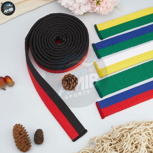 Best Professional Martial Arts Belts <b>Karate</b> Belts Solid Customized Heavy Duty Comfortable <b>Karate</b> Martial Arts Belts - Product Image 4
