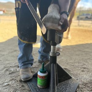 Adjustable Heavy Duty Horse Hoof Stand Metal Farrier Hoofjack with Cradle Post for Hoof Trimming, <b>Shoeing</b> Care CE ISO Certified - Product Image 3