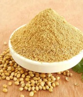 Poudre de coriandre de qualité alimentaire à forte saveur, épice Dhania pour la préparation de sauces, la fabrication de snacks et le commerce mondial