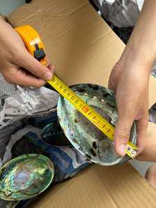 Polished Green <b>Abalone</b> <b>Shell</b> Vietnam for Jewelry Making Craft Inlay Decorative Art and Handmade Accessories Wholesale - Product Image 4