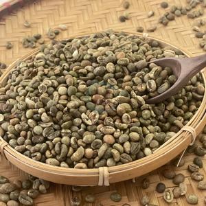 Café Vert Robusta du Vietnam, Grains de Qualité 20, Exportation en Vrac, Fournisseur pour Importateurs Mondiaux - Product Image 4