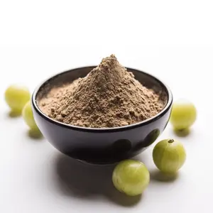 Nous sommes le fabricant de premier plan d'extraits de plantes, d'extrait d'Amla sec, de poudre naturelle de haute qualité, de poudre d'Amla à base de plantes en vente - Product Image 2
