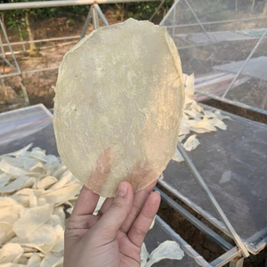 PRODUIT DE POISSON DE PREMIÈRE QUALITÉ POUR SOUPES NUTRITIVES – RICHE EN COLLAGÈNE, ÉPAISSI ET PUR |   FOURNISSEUR VIETNAMIEN - Product Image 1