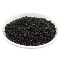 Échantillon Gratuit de Charbon Actif Granulé Certifié à Base de Coque de Noix de Coco, Particules de Coque de Noix de Coco, Charbon Actif 60 à 80 Mesh pour les Déchets
