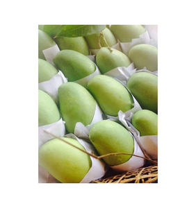 Mangos frescos paquistaníes más vendidos a precio barato - Product Image 4