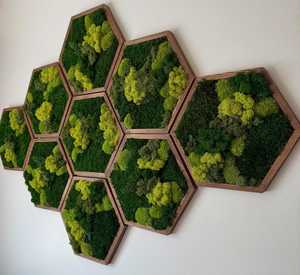 Arte de Pared Hexagonal de Madera Hecho a Mano con Musgo, Marco Marrón Oscuro, Follaje Verde, Decoración Moderna para el Hogar, Diseño Geométrico - Product Image 3