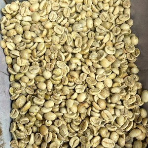 Vietnam Arabica Natural Coffee <b>Beans</b> Raw Green Bulk Export Quality Supplier for Global Importers - Product Image 6