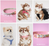 Collier en cuir de luxe pour chats et chiens, élégant, doux et réglable