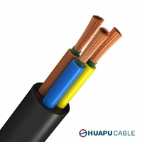 Cable Eléctrico de PVC Resistente al Fuego NH-RVV, Núcleo de Cobre, 2/3/4 Núcleos, Tamaño Personalizable, 20A 300/300V, Bajo Voltaje