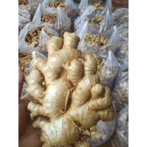 Gingembre frais et séché, bon prix, produit agricole du Vietnam - Product Image 4