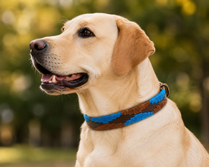 Collier pour chien en cuir personnalisé, fournisseur OEM ODM en gros de Divine International India - Product Image 6