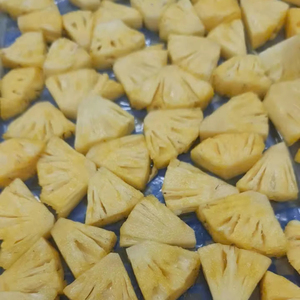 Tranches d'ananas surgelées IQF, fournisseur Vietnamien pour les applications jus et desserts - Product Image 1