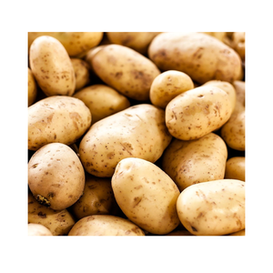 <b>Fresh</b> Potatoes Farm Grown Premium Quality Natural Export Grade Ocean Link Exim <b>Vegetable</b> for Cooking Daily Kitchen Food Use - Product Image 1