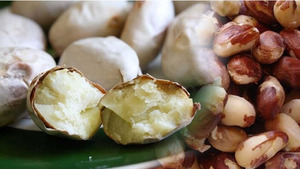 Polvo de Semilla de Jaca Natural, Alternativa a la Harina Sin Gluten, Grado Alimenticio, Suministro a Granel desde Vietnam - Sra. Grace - Product Image 5