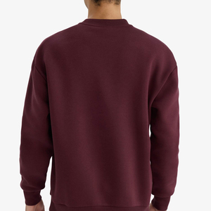 Sweat-shirt à capuche doublé en coton de haute qualité pour homme, en polaire unie, chaud et respirant pour l'hiver, vêtement décontracté personnalisable - Product Image 3