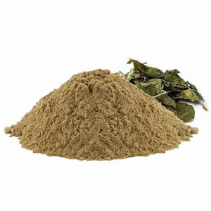 Poudre de Gymnema Sylvestre 100% pure, qualité alimentaire, en gros, provenant d'Inde - Product Image 4