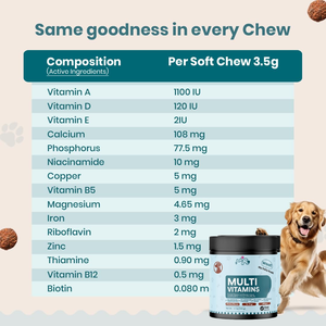 Friandises à mâcher multivitaminées pour chiens et chats, soutien de la peau et du pelage, fourrure saine, riches en oméga, bienfaits quotidiens, complément alimentaire naturel pour animaux de compagnie - Product Image 6