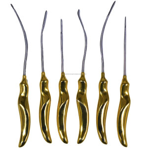 Ensemble d'instruments chirurgicaux dentaires de précision mondiale, 6 pièces, manuels, ergonomiques, avec poignée dorée, en acier inoxydable, comprenant un dissectionneur et un élévateur - Product Image 1