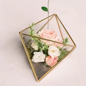 Terrarium décoratif en métal et verre, support élégant pour plantes, boîte de présentation, décoration intérieure - Product Image 6