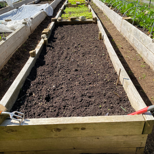 Engrais en poudre de fumier de vache 100% biologique, qualité export en vrac, riche en micro-organismes, conditionneur de sol pour l'agriculture biologique et les plantations - Product Image 6