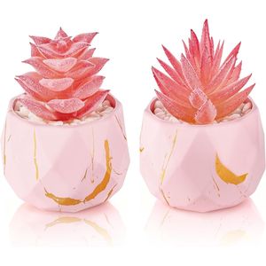 2 Confezioni di Piccole Piante Succulente Artificiali Rosa per Regali di Nozze, Decorazioni per Ufficio e Bagno, Accessori per Casa e Stanza - Product Image 1