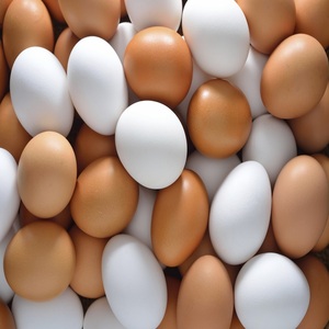 Huevos de Gallina Marrones de Primera Calidad, Frescos de Granja, Empacados con la Buena Esencia Natural, Ideales para Compra y Venta al por Mayor - Product Image 2