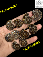Precio al por mayor FAIJAN GEMS Fósil de concha de ammonita natural, cabujón de piedra preciosa suelta, tamaño personalizable, Rajasthan, tercera parte